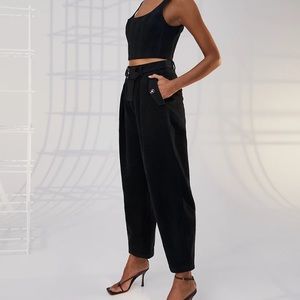Aritzia Babaton Balboa Utility Pants